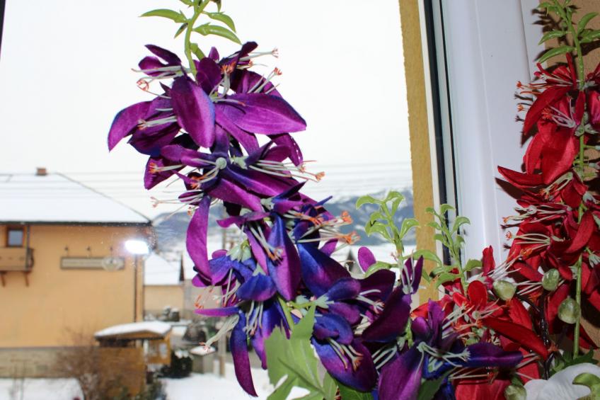 Apartment Westtatra - foto 14