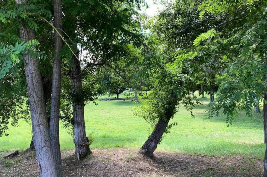 Maison Cosy Lodge, 15 P, Clim, Wifi, Cour, Garage - foto 20