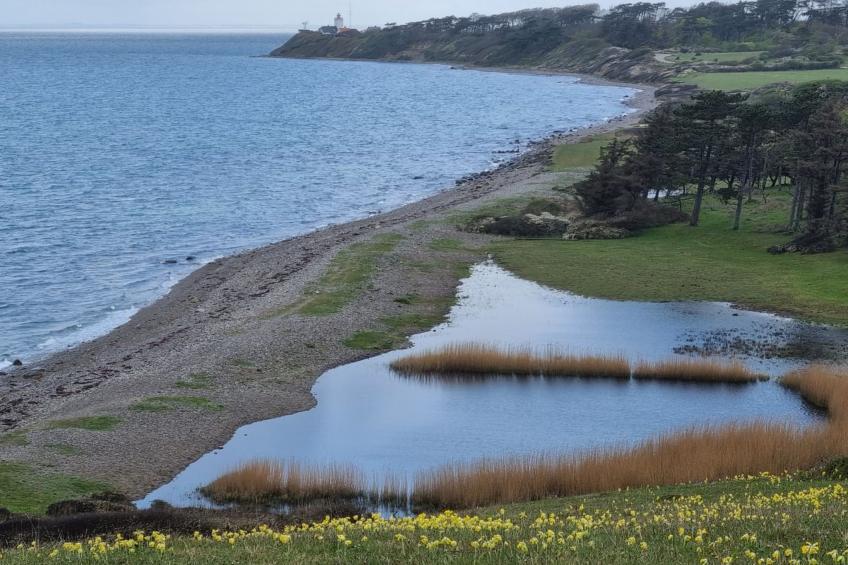 "Miona" - 725m from the sea in Sealand - foto 5