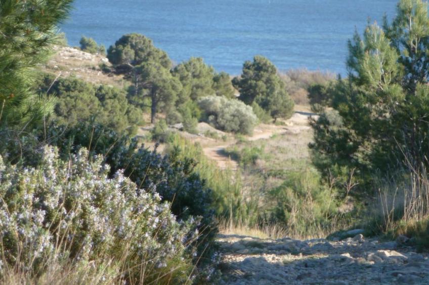 SAISONALE VERMIETUNG: DIE PERGOLA AM STRAND. - foto 18