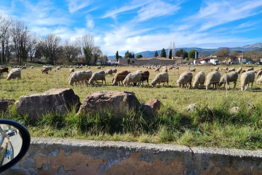 Villa Contempo 4 - foto 36