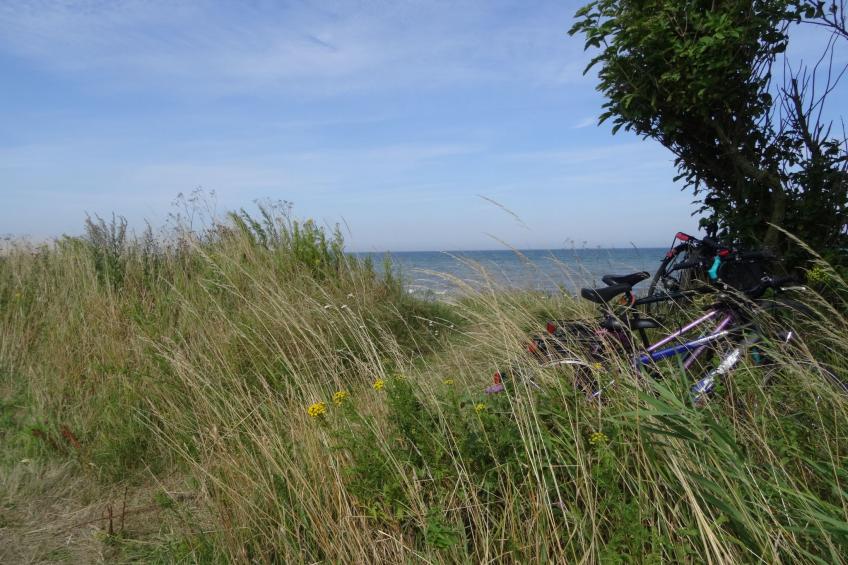 Geltinger Birk - foto 25