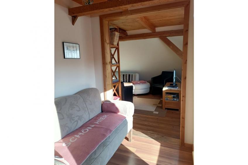 67981 - foto 21