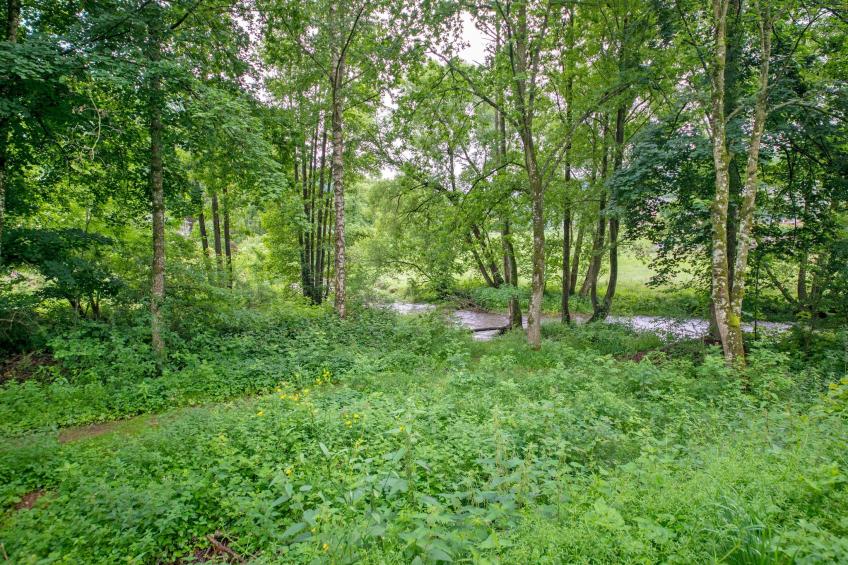 Superbe maison de vacances pour 5 adultes - foto 30