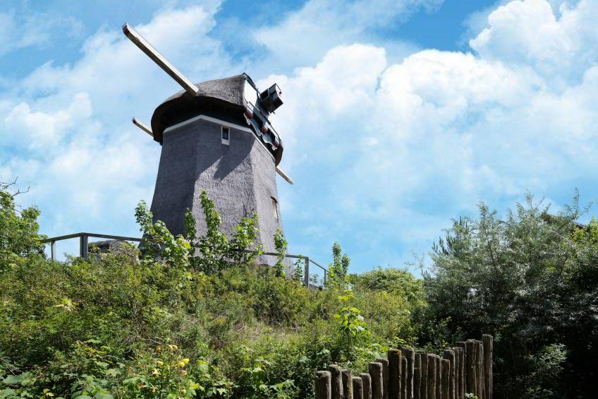 Onder de molen - foto 29
