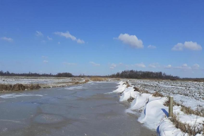 Waterpark Belterwiede - Type Gaarde - foto 38