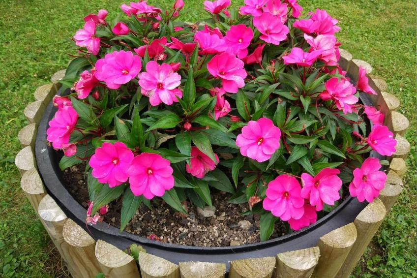 mit eigener Sonnenterrasse - foto 21