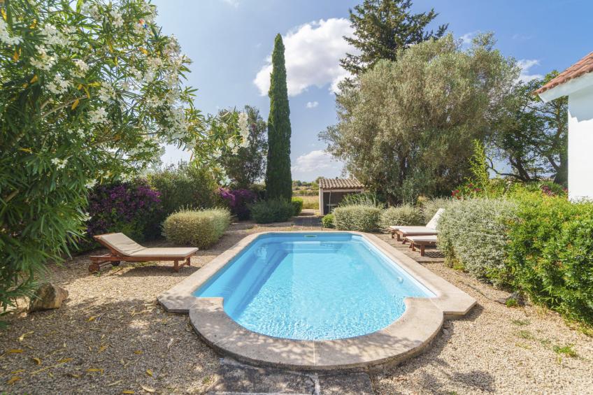 Es Camp Jeu - foto 23