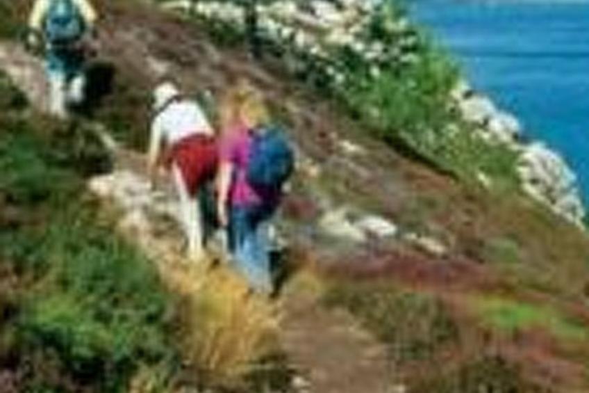 "Les Hortensias" (Die Hortensien) - foto 27