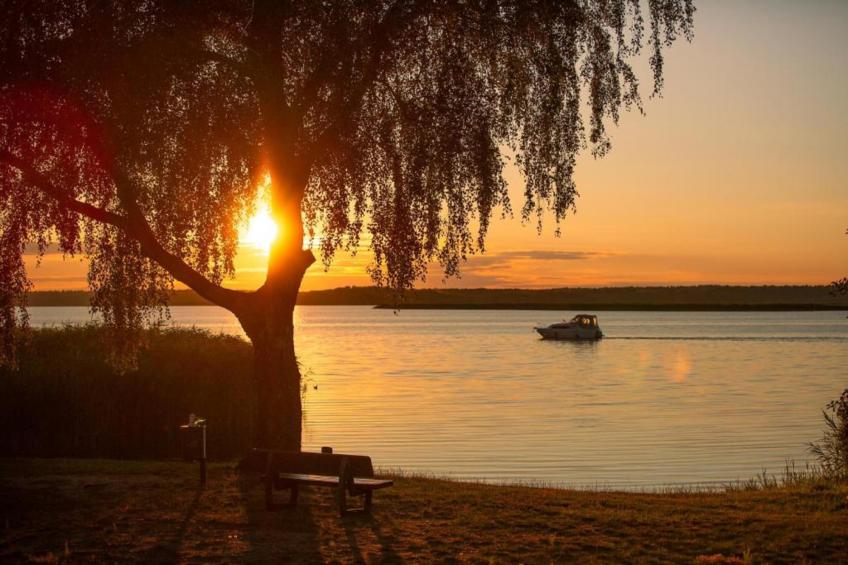 Schlafen unter Reet - Naturhof - Ahlbeck am Haff / Nr 1 - foto 24