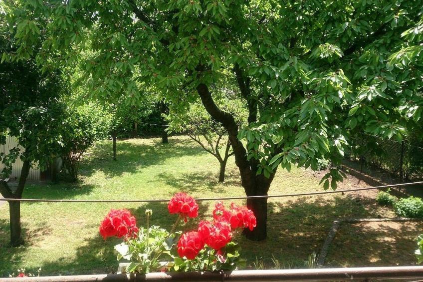 Ferienhaus in Budapest mit großem Garten - foto 9