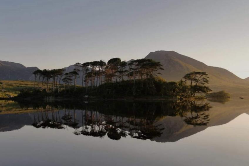 Maison à Cashel Galway - foto 35