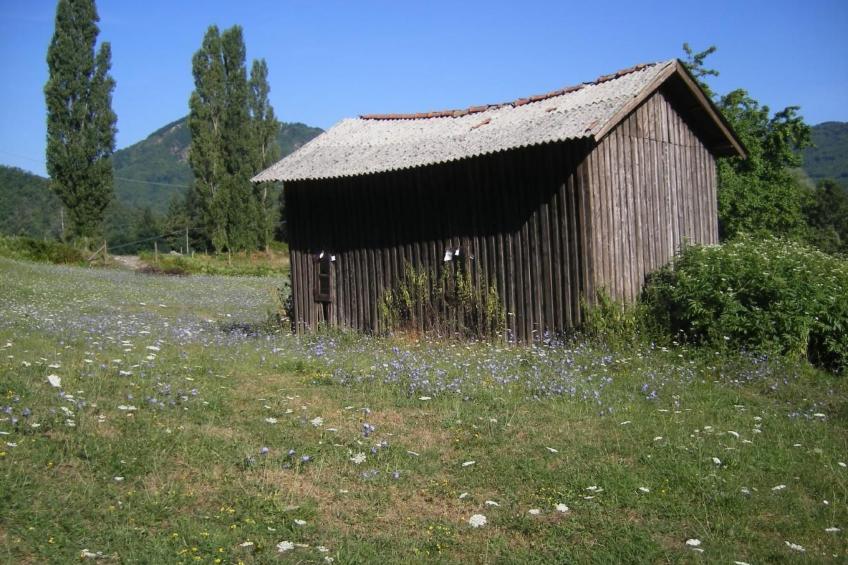 CasaMasa' Wohnung mit Bergblick - foto 37