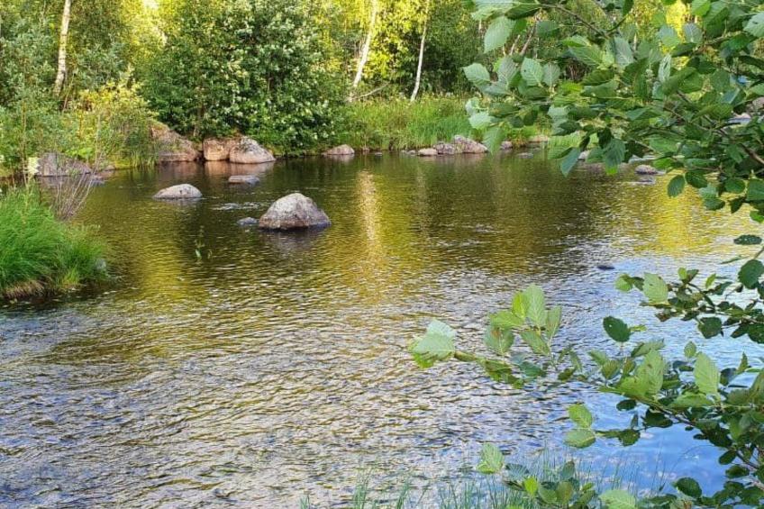 Gemütliches Ferienhaus Angermanland - höga Kusten - foto 59