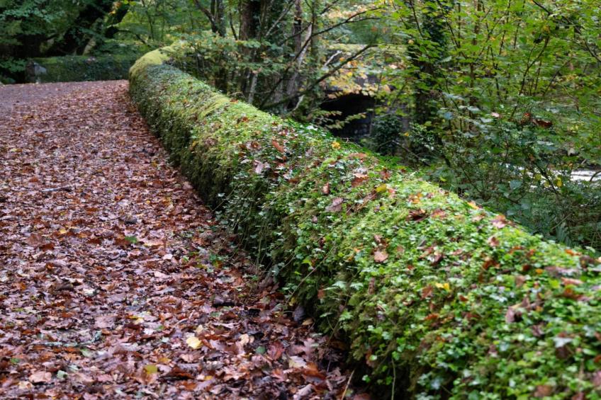 Pandy Farmhouse - foto 20
