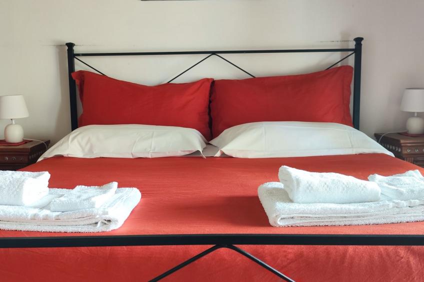 Vergissmeinnicht - foto 5