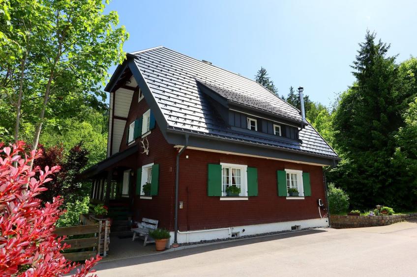 Schwarzwaldhaus St. Blasien, direkt am Bach - foto 3