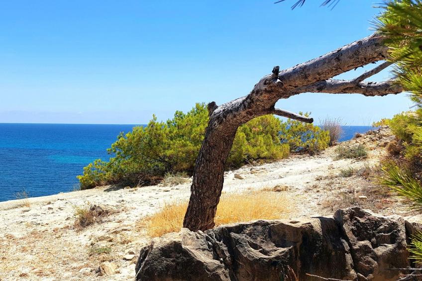 Casa La Galatea - foto 34