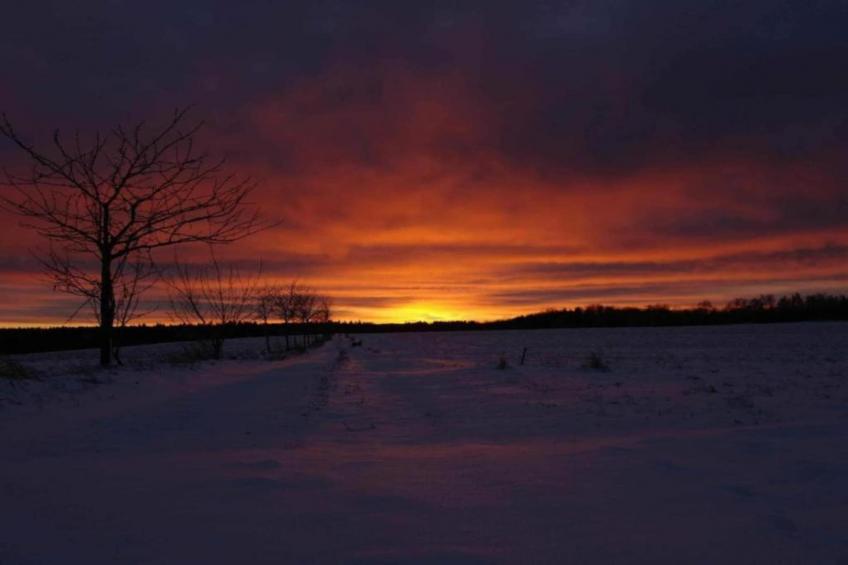 Obermühle - foto 32