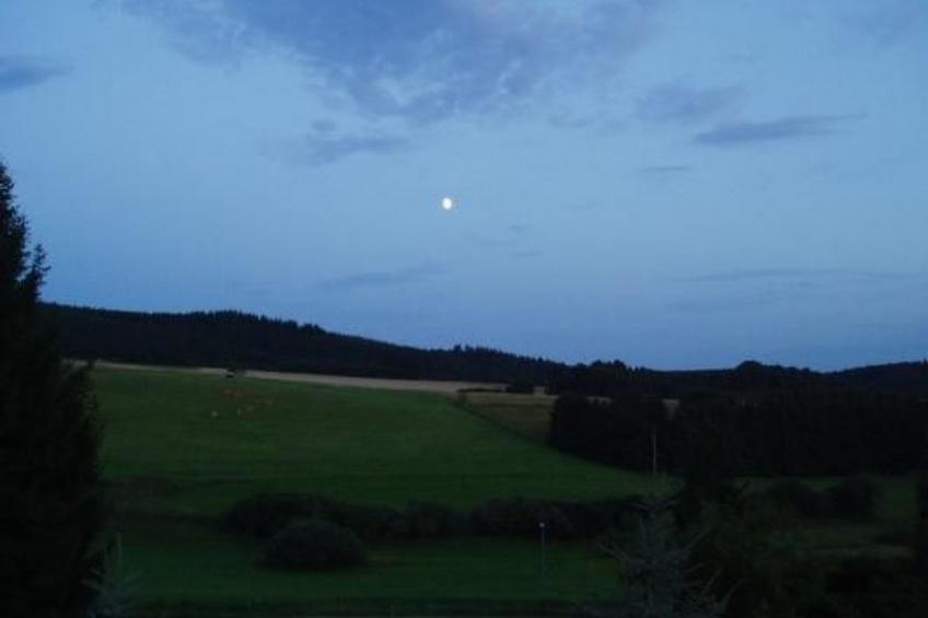 Eifelcottage Rehwiese - foto 16