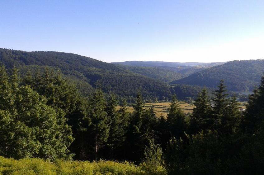 La Montagne - foto 40