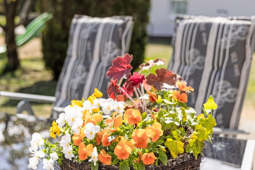 Morgensonne - foto 18