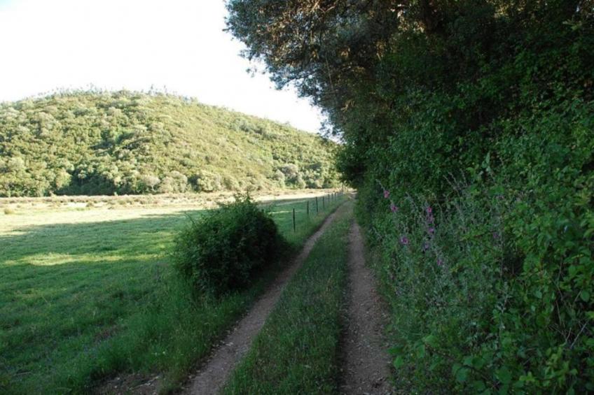 Casa da Adega - foto 28