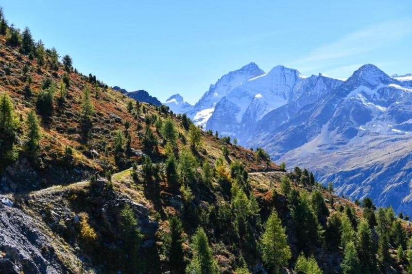 Polaris 1 006 - LUXE & SKI LIFT apartment 6 pers - foto 22