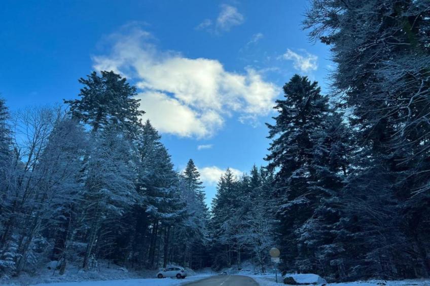 LA POMME DE PIN 2  Appartement avec terrasse - foto 26