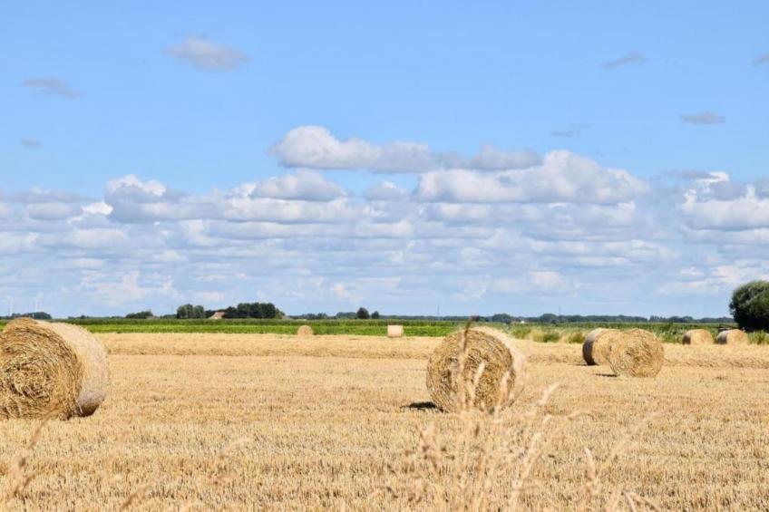 RESIDENTIE CALIFORNIA E4 - foto 23