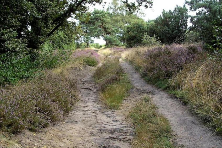 Hof van Salland - foto 24