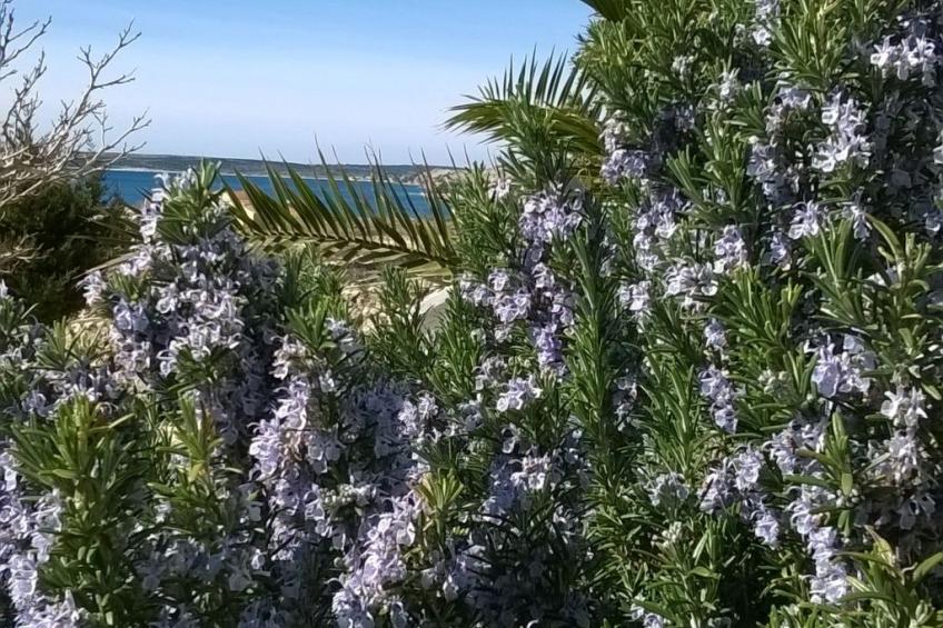 Apartment mit Meerblick - foto 26