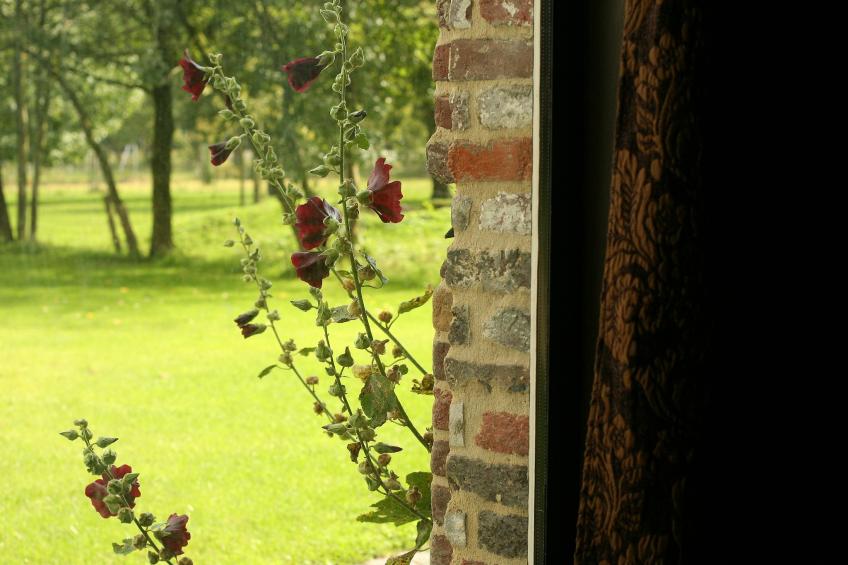 Stalvleugel - foto 40