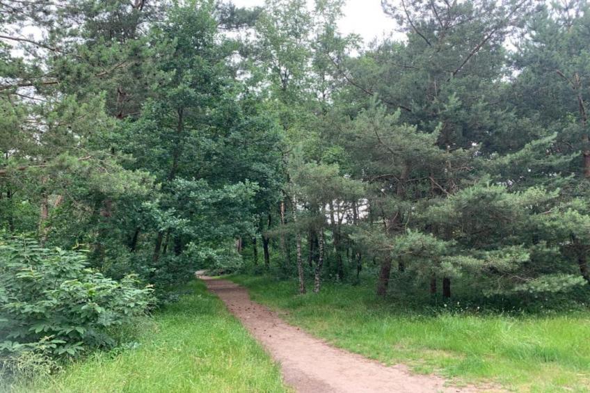 De Veluwse Hoevegaerde 3 - foto 24