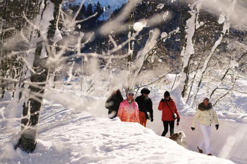 Parkareal Davos - foto 21