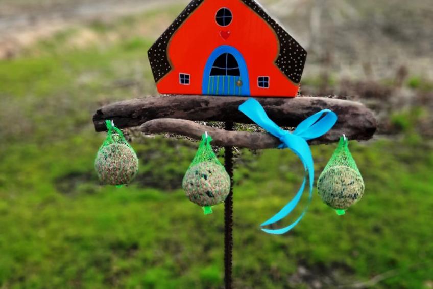 Fewo Schlingshöhe - foto 2