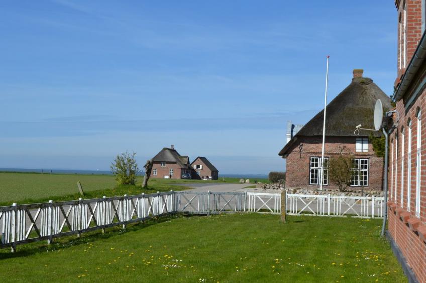 "Adine" in Western Jutland - foto 8