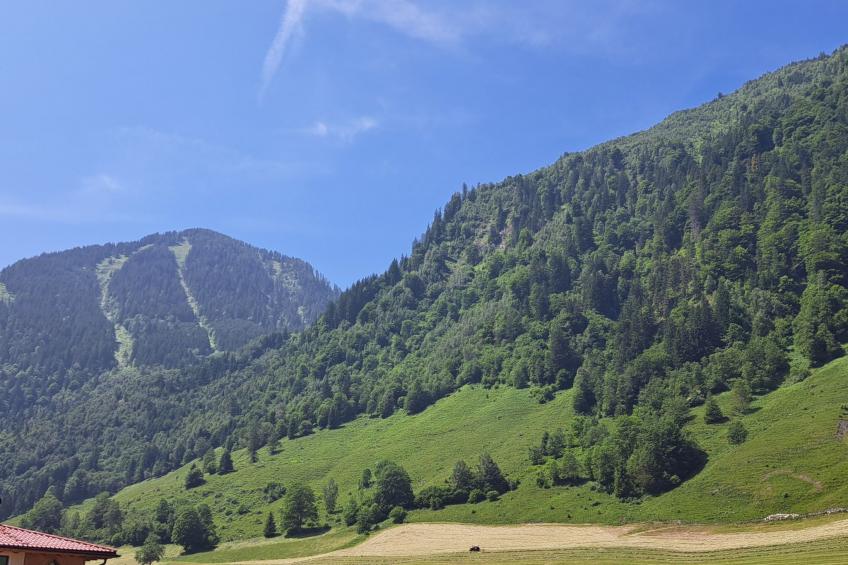 Apartement Haus Dankl - foto 54