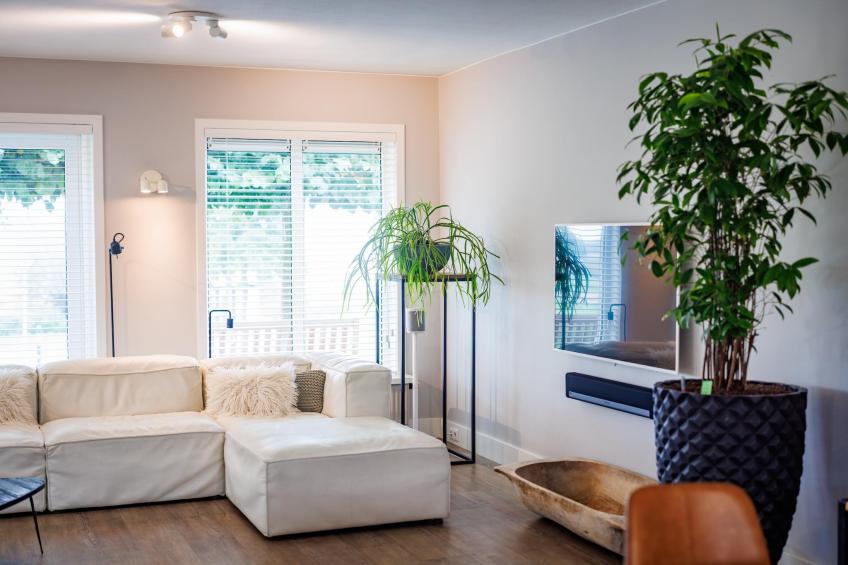 Vakantiepark Eiland van Maurik 4 - foto 11