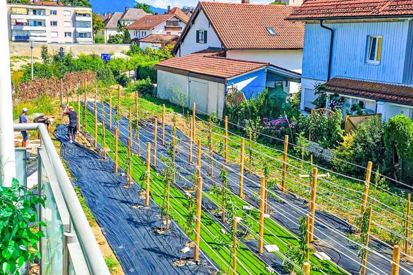 1OG mitte helle 70m 2 Zimmer Wohnung nähe Salzburg - foto 15