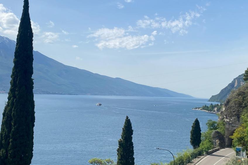Residence Villa Gianna Limone sul Garda - Trilo 1 - 2 pax - foto 2