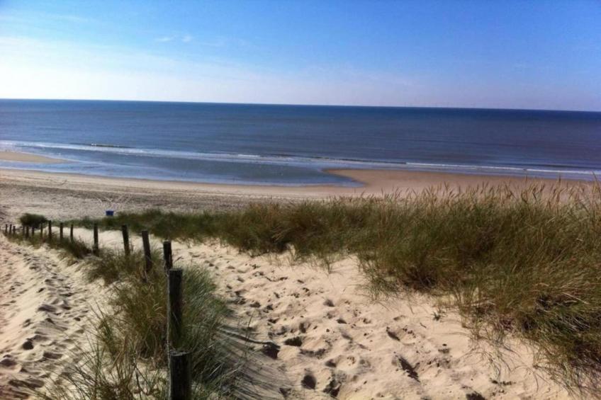 Parel aan de Duinen 8p - foto 33