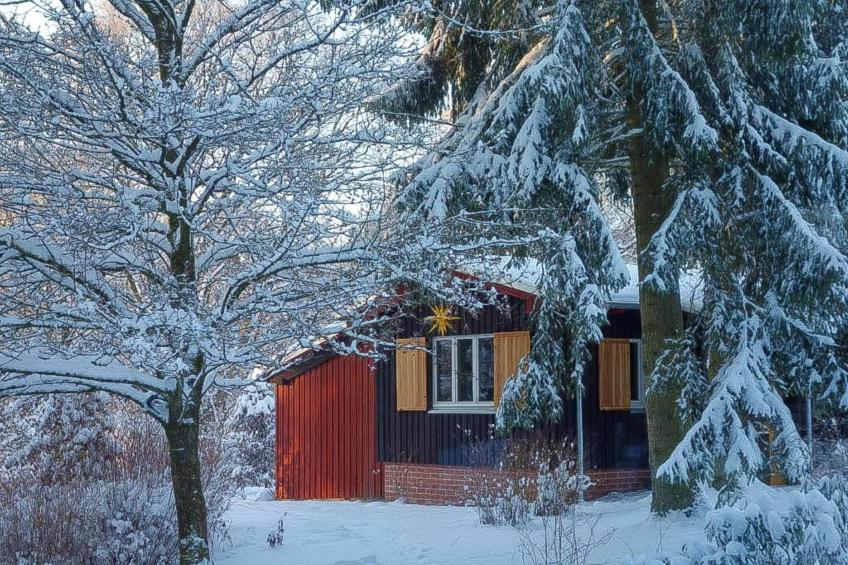 Waldhaus Harz - foto 40