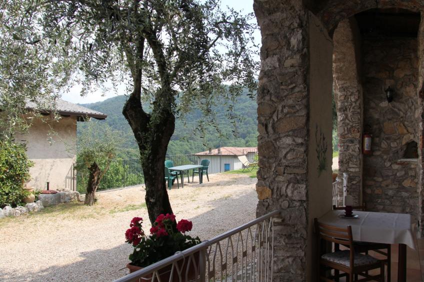 Fattoria La Tartufaia (TMO103) - foto 17