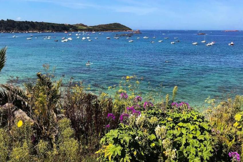 Maison à Trebeurden - foto 27