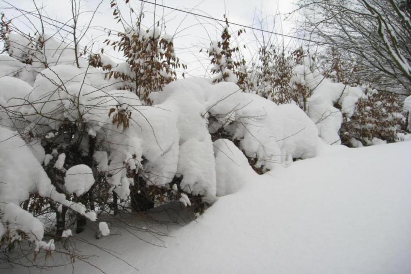 Brouwer Ferienhaus - foto 15