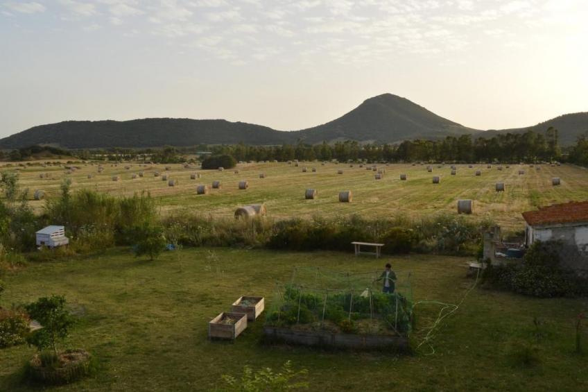 Su Sole de Barega - foto 3