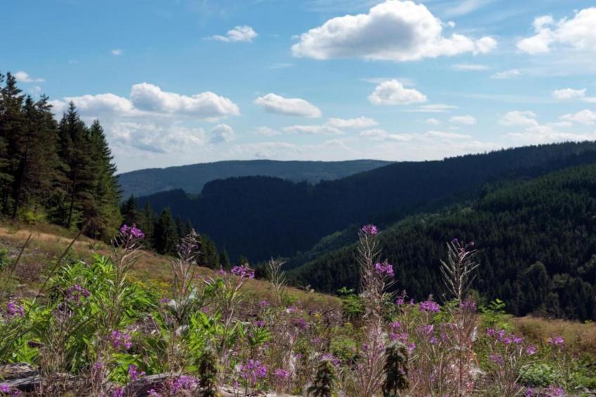 A Beautiful Stone farmhouse - foto 31