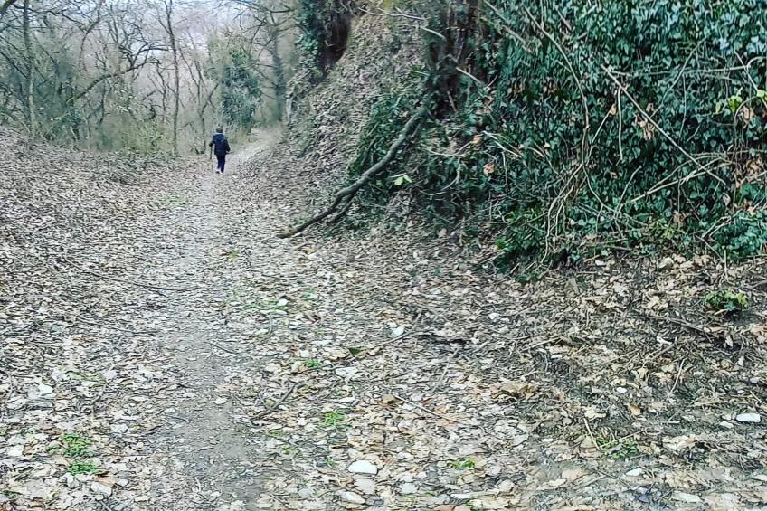 Holiday Home Paunovaca - Two Bedroom Holiday Home - foto 25