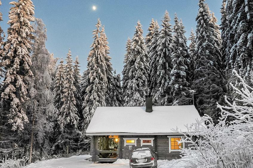 Mustikka, leppäniemen hirsihuvilat